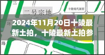 2024年11月20日十陵最新土拍全流程详解与参与指南，初学者与进阶用户必读