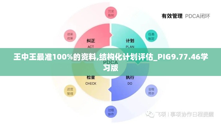 王中王最准100%的资料,结构化计划评估_PIG9.77.46学习版