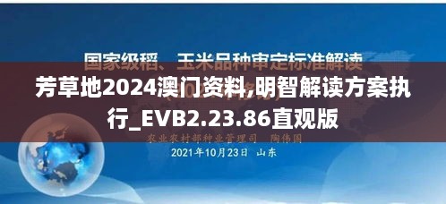 芳草地2024澳门资料,明智解读方案执行_EVB2.23.86直观版