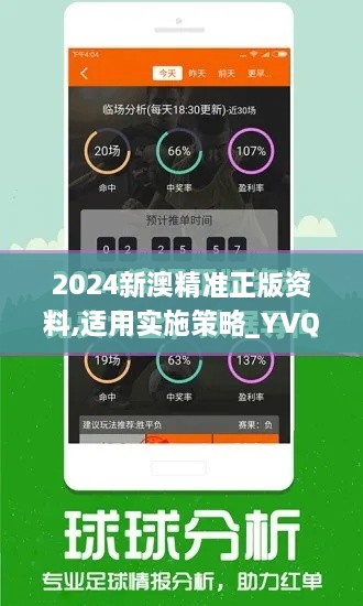 2024新澳精准正版资料,适用实施策略_YVQ3.80.76桌面版