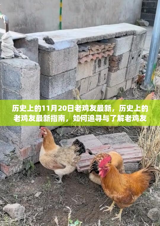 老鸡友文化指南，探寻历史上的最新追寻与了解方式