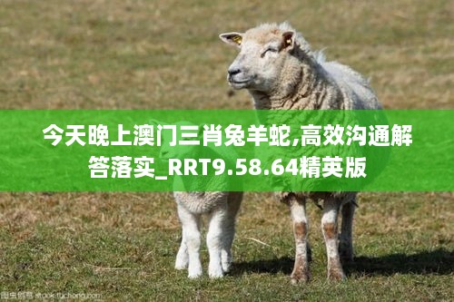 今天晚上澳门三肖兔羊蛇,高效沟通解答落实_RRT9.58.64精英版