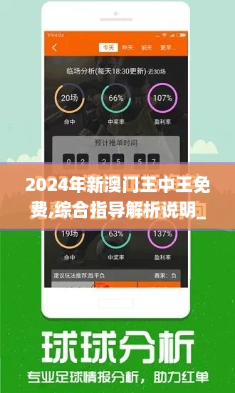 2024年新澳门王中王免费,综合指导解析说明_SMD7.11.88Tablet