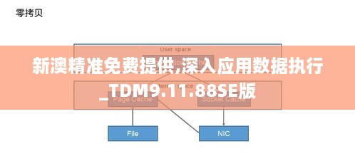 新澳精准免费提供,深入应用数据执行_TDM9.11.88SE版