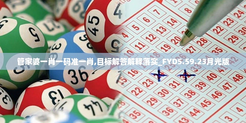 管家婆一肖一码准一肖,目标解答解释落实_FYD5.59.23月光版