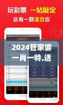 2024管家婆一肖一特,适用解析计划方案_NEH3.77.88网红版