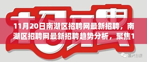 南湖区招聘网最新招聘趋势聚焦，11月20日数据分析及其影响