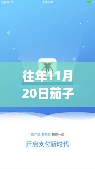 往年11月20日茄子app最新版下载，探索法律风险与应用挑战