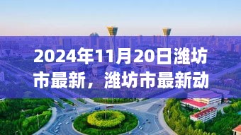 潍坊市最新动态聚焦，三大要点揭秘于2024年11月20日