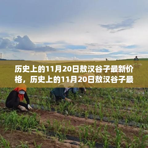 历史上的敖汉谷子价格深度评测与介绍，最新价格回顾及深度分析（11月20日）