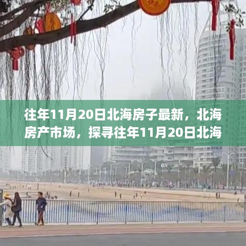 往年11月20日北海房产市场深度观察，最新动态与深层影响分析