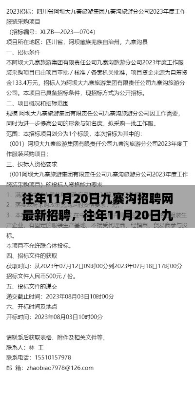 往年11月20日九寨沟招聘网最新招聘详解与求职全攻略