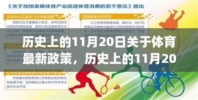 历史上的11月20日体育新政深度解析与观点阐述，政策变迁与影响探讨