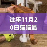 革命性突破，猫喵智能新破解版重塑生活体验