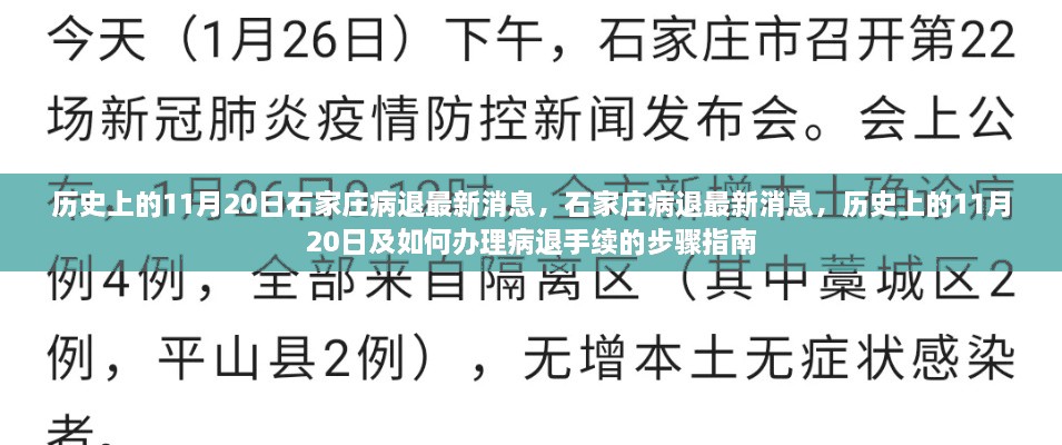 石家庄病退最新消息及办理手续指南，历史上的11月20日回顾与步骤详解