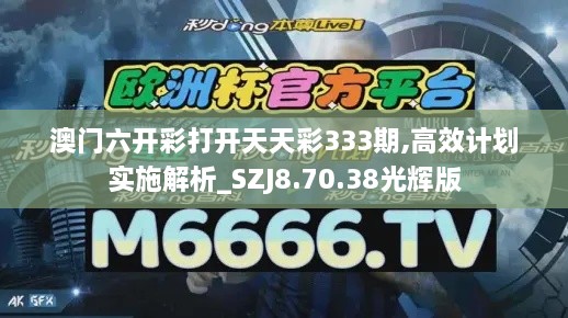 澳门六开彩打开天天彩333期,高效计划实施解析_SZJ8.70.38光辉版