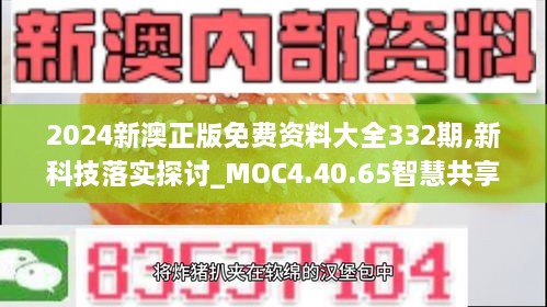 2024新澳正版免费资料大全332期,新科技落实探讨_MOC4.40.65智慧共享版