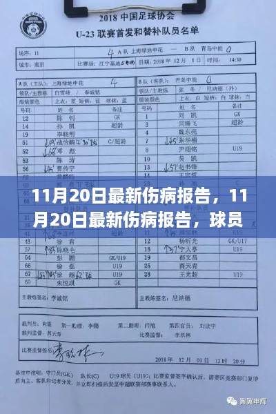 最新伤病报告，球员健康动态与应对策略更新发布