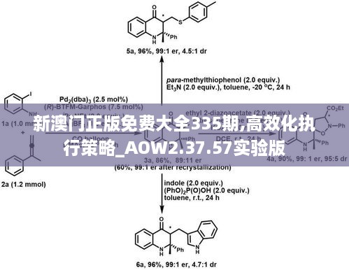 新澳门正版免费大全335期,高效化执行策略_AOW2.37.57实验版