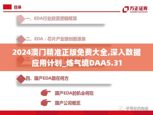 2024澳门精准正版免费大全,深入数据应用计划_炼气境DAA5.31