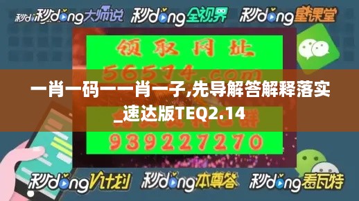 一肖一码一一肖一子,先导解答解释落实_速达版TEQ2.14