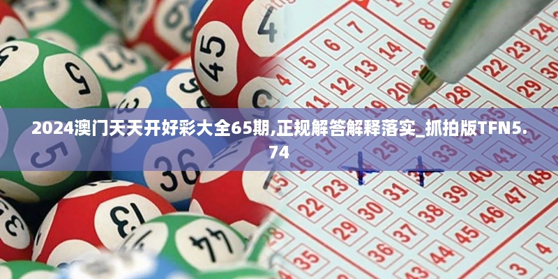 2024澳门天天开好彩大全65期,正规解答解释落实_抓拍版TFN5.74