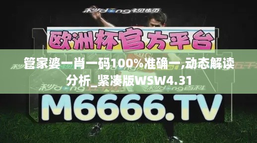 管家婆一肖一码100%准确一,动态解读分析_紧凑版WSW4.31