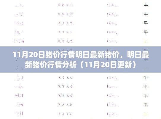 明日最新猪价行情分析（最新更新，11月20日）