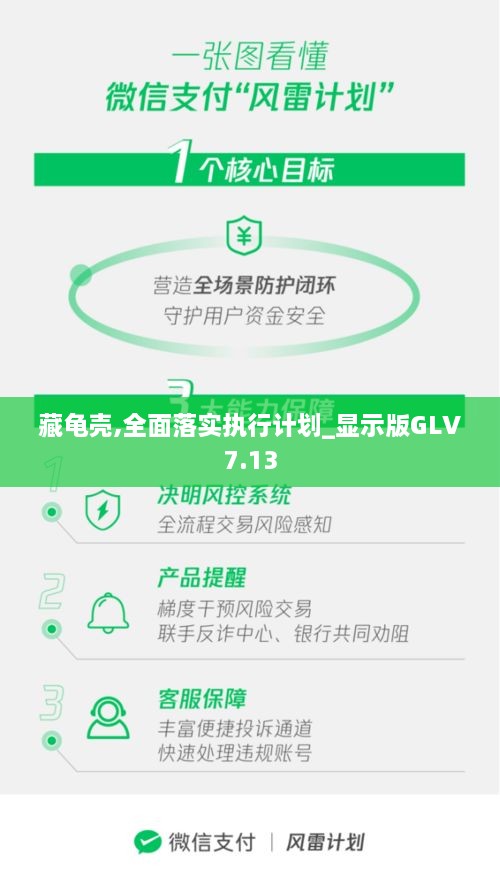 藏龟壳,全面落实执行计划_显示版GLV7.13