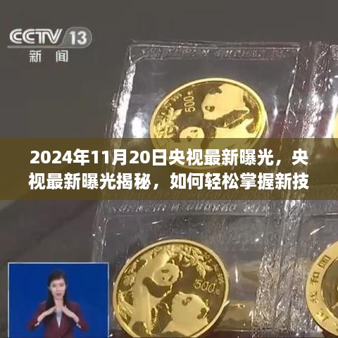 央视揭秘，初学者与进阶用户指南——轻松掌握新技能（2024年11月版曝光）