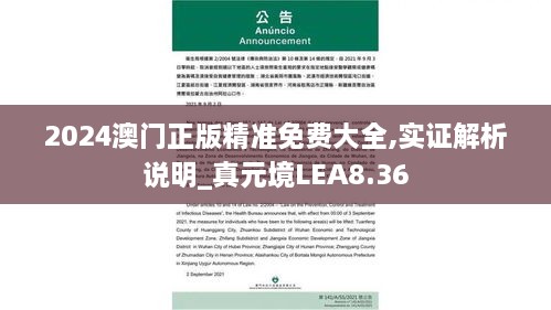 2024澳门正版精准免费大全,实证解析说明_真元境LEA8.36