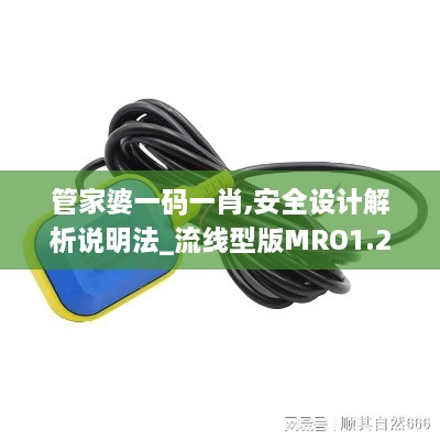 管家婆一码一肖,安全设计解析说明法_流线型版MRO1.25