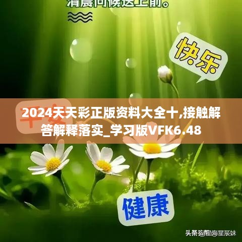 2024天天彩正版资料大全十,接触解答解释落实_学习版VFK6.48