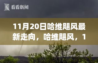 哈维飓风最新走向及深远影响，11月20日更新报告