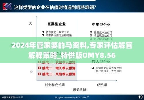 2024年管家婆的马资料,专家评估解答解释策略_特供版OMY8.56