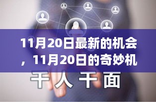 11月20日，友情、家庭与温馨机遇的奇妙交织