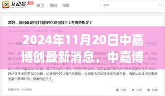 中嘉博创最新动态速递，2024年11月20日一览