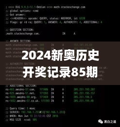 2024新奥历史开奖记录85期,数据驱动方案实施_VR版XDS5.29