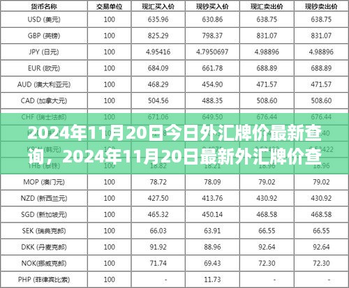 最新外汇牌价查询指南，掌握2024年11月20日外汇牌价