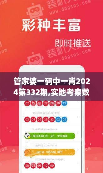 管家婆一码中一肖2024第332期,实地考察数据执行_XUC1.30.92先锋实践版