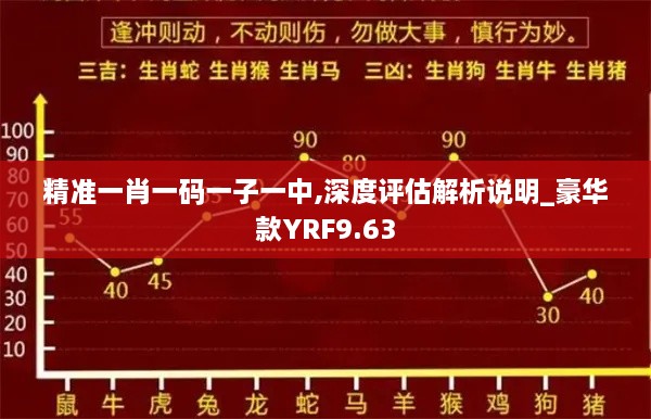 精准一肖一码一子一中,深度评估解析说明_豪华款YRF9.63