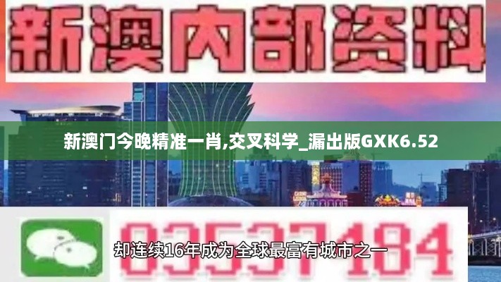 新澳门今晚精准一肖,交叉科学_漏出版GXK6.52