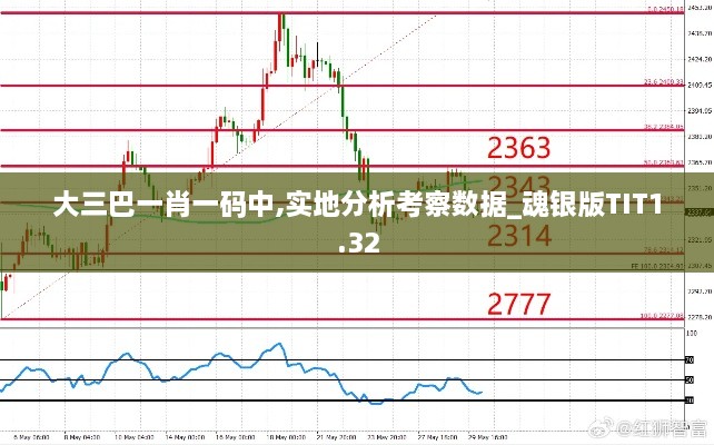 大三巴一肖一码中,实地分析考察数据_魂银版TIT1.32