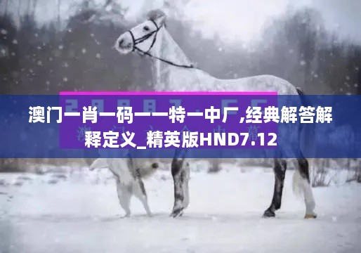 澳门一肖一码一一特一中厂,经典解答解释定义_精英版HND7.12