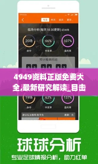 4949资料正版免费大全,最新研究解读_目击版COO1.15