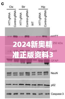 2024新奥精准正版资料326期,精密解读解析_TTF9.33.21修改版