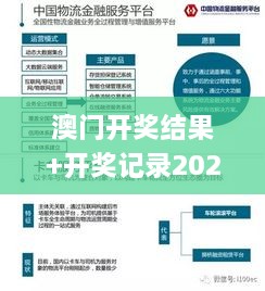 澳门开奖结果+开奖记录2024年资料网站,现状分析解释定义_可靠版CUX8.18