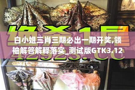 白小姐三肖三期必出一期开奖,领袖解答解释落实_测试版GTK3.12