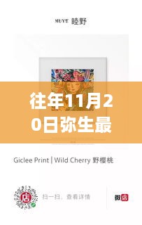 「往年11月20日弥生最新作品获取与学习指南」