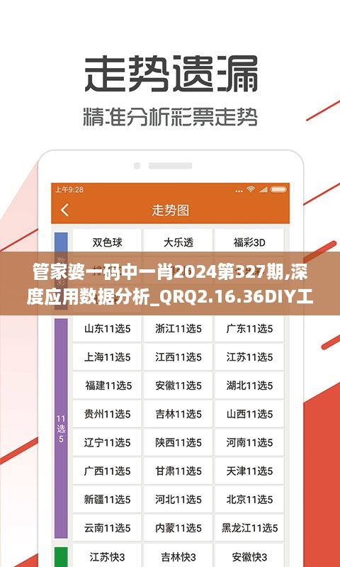 管家婆一码中一肖2024第327期,深度应用数据分析_QRQ2.16.36DIY工具版